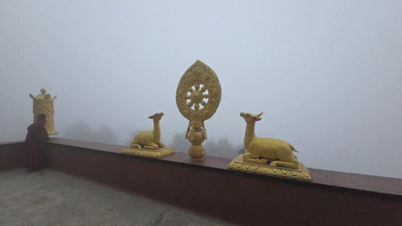 Two golden deer statues flanking a golden dharma wheel on a monastery parapet, a young monk standing at the wall looking out into thick mist