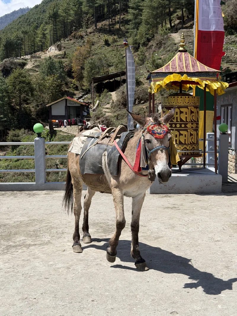 A large colorful prayer wheel beside a building, with a small TOILET sign visible behind it