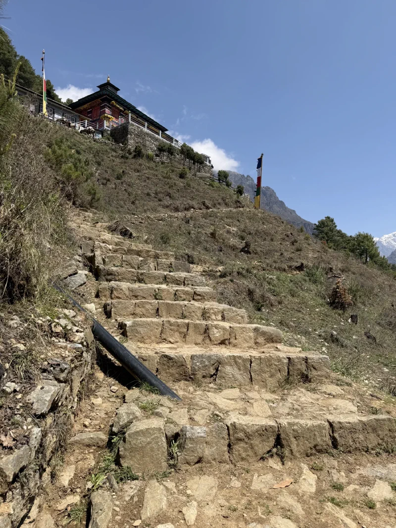 Steep stone steps leading up to a large ornate monastery building on the hillside