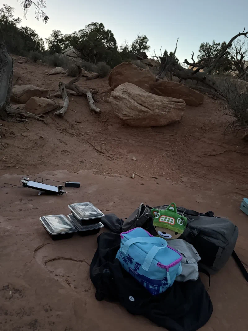Backpacks, a small blue cooler bag and two food containers laid out on red slickrock at dusk, with Sumi's head visible among the bags