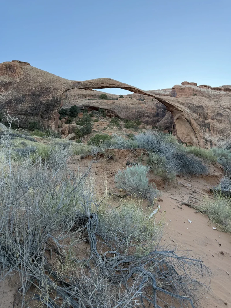 The extremely long thin span of Landscape Arch stretching across the frame above a sandy slope