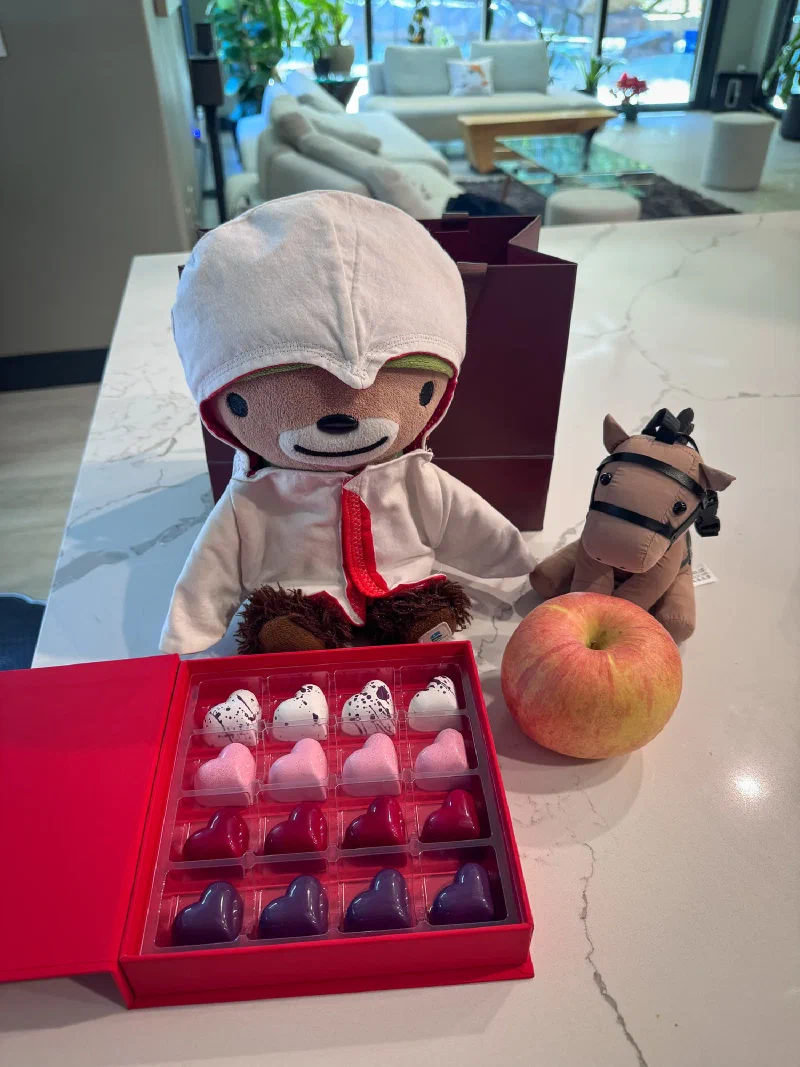 Sumi Bear and Chestnut with heart-shaped chocolates and an apple on the kitchen counter